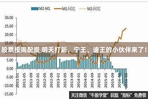 股票按周配资 明天打新，宁王、迪王的小伙伴来了！