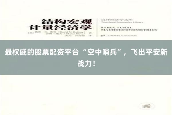 最权威的股票配资平台 “空中哨兵”，飞出平安新战力！