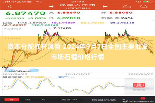 资本分配杠杆风险 2024年9月7日全国主要批发市场石榴价格行情