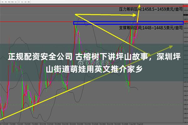 正规配资安全公司 古榕树下讲坪山故事，深圳坪山街道萌娃用英文推介家乡