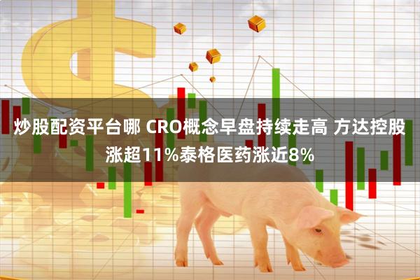 炒股配资平台哪 CRO概念早盘持续走高 方达控股涨超11%泰格医药涨近8%