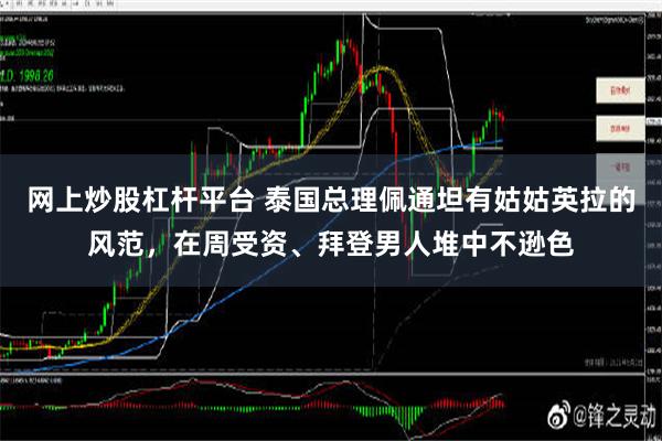 网上炒股杠杆平台 泰国总理佩通坦有姑姑英拉的风范，在周受资、拜登男人堆中不逊色