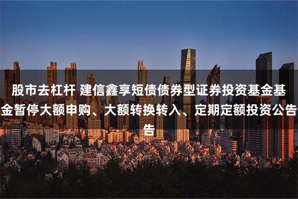 股市去杠杆 建信鑫享短债债券型证券投资基金基金暂停大额申购、大额转换转入、定期定额投资公告