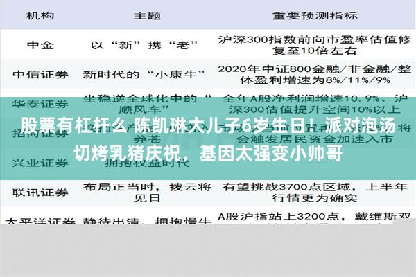 股票有杠杆么 陈凯琳大儿子6岁生日！派对泡汤切烤乳猪庆祝，基因太强变小帅哥